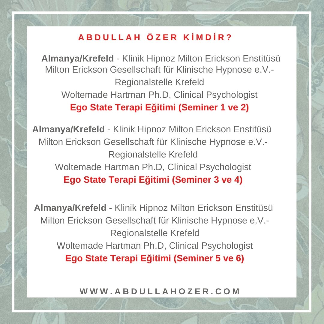 Ego State Terapi Enstitüsü
